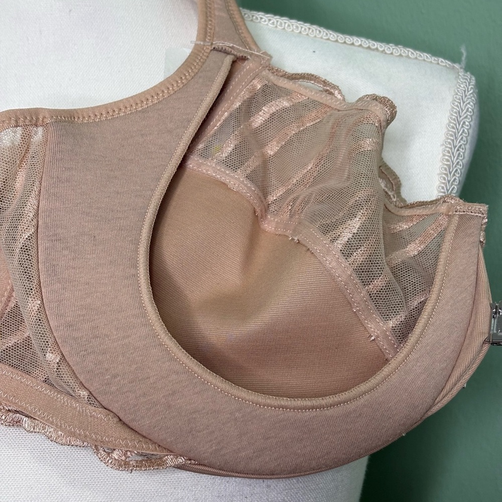 Paramour Nude Front-Close Sheer Embroidered Underwire Bra - Picture 9 of 11
